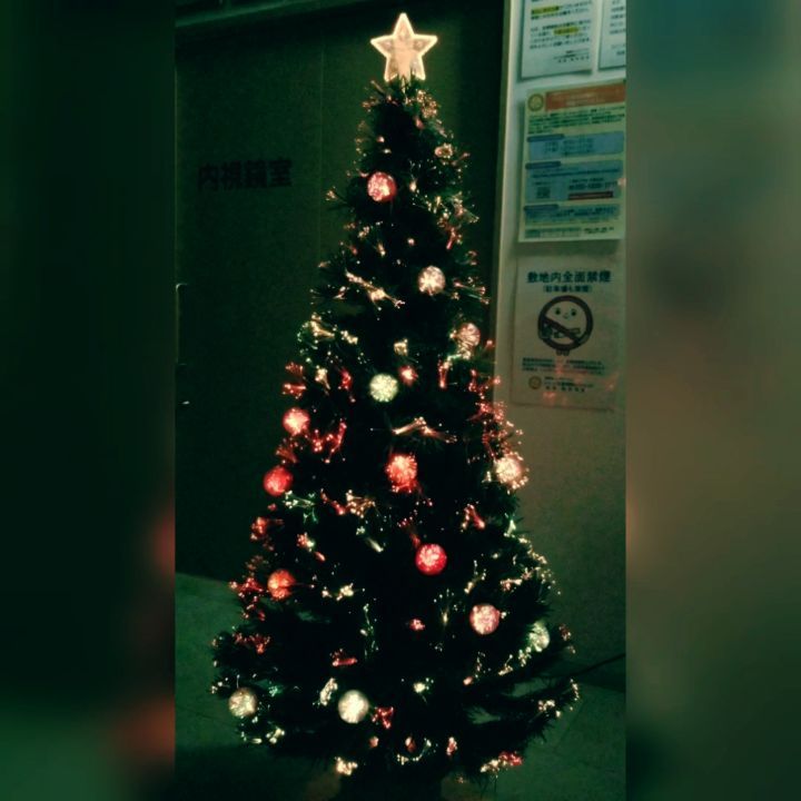 クリスマスツリー点灯式。毎年恒例の待合室に飾るクリスマスツリー、今年もスタッフが綺麗に設置してくれました
診察終了後、スタッフが事務室で後片付けに追われる中、院長がこっそり点灯式。。。暗闇に光るツリーで心癒されます