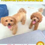 2025年7月20日（日）は休日当番です